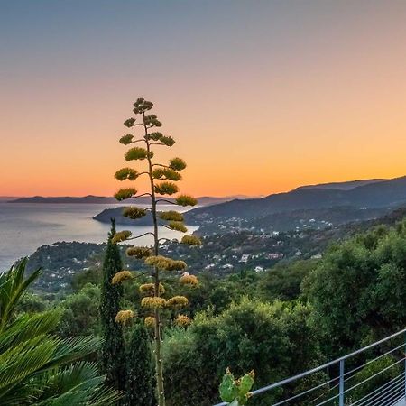 Vistazur Luxueux Appartement Avec Terrasse Et Piscine Le Le Rayol-Canadel-sur-Mer 外观 照片