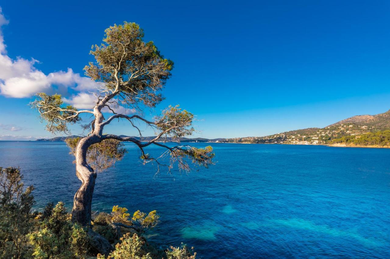 Vistazur Luxueux Appartement Avec Terrasse Et Piscine Le Le Rayol-Canadel-sur-Mer 外观 照片