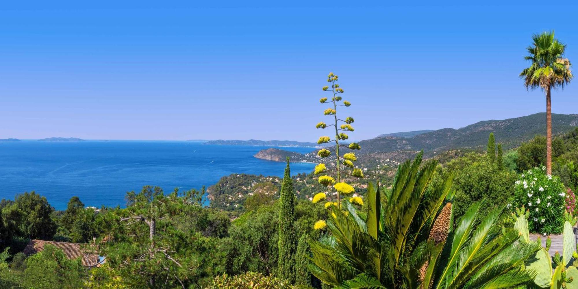 Vistazur Luxueux Appartement Avec Terrasse Et Piscine Le Le Rayol-Canadel-sur-Mer 外观 照片